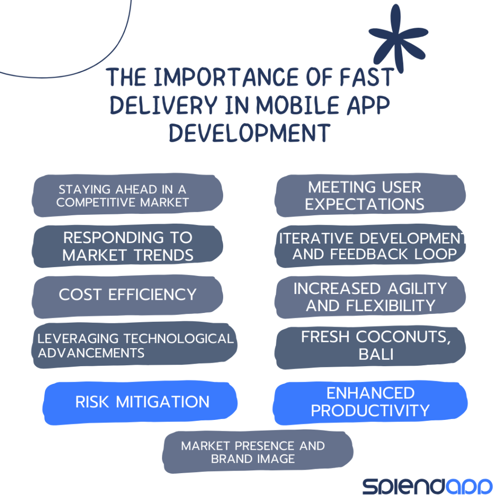 The Importance of Fast Delivery in Mobile App Development